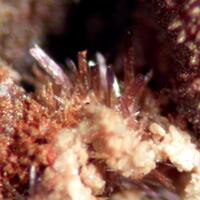 Parasymplesite & Karibibite