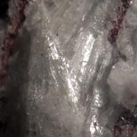Alamosite