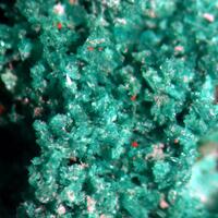 Spangolite