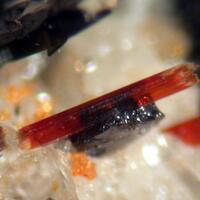 Astrophyllite Zircon Aegirine & Ilmenite
