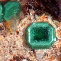 Torbernite