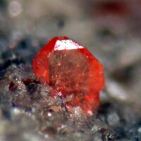 Monazite-(Ce)