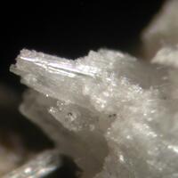 Alamosite