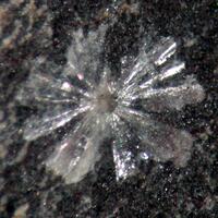 Vantasselite