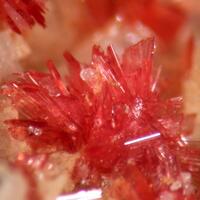 Talmessite & Erythrite