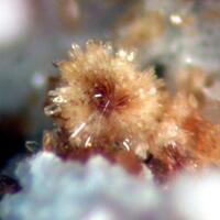 Kastningite Mangangordonite & Cacoxenite