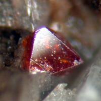 Fluornatropyrochlore & Aenigmatite