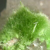 Agardite-(Ce) & Baryte