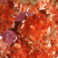 Beraunite & Strengite
