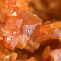 Wulfenite & Vanadinite