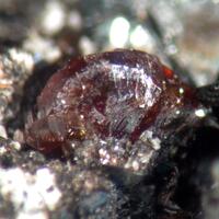 Rutile Chernovite-(Y) & Ilmenite