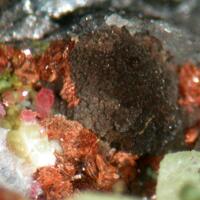 Serrabrancaite Bermanite Variscite & Dufrénite
