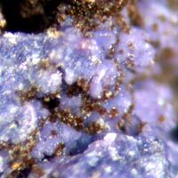 Serrabrancaite & Phosphosiderite