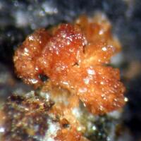 Jahnsite & Strengite