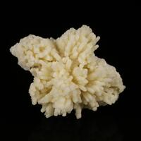 Fluorapatite Psm Scholzite