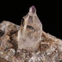 Amethyst Quartz Sceptre