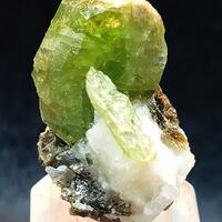 Diopside With Phlogopite