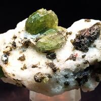Diopside With Phlogopite