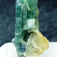 Tourmaline With Muscovite