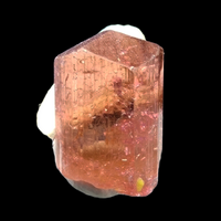 Tourmaline With Muscovite