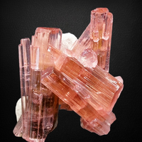 Tourmaline With Muscovite