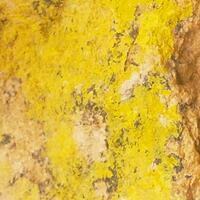 Carnotite