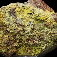 Uranopilite
