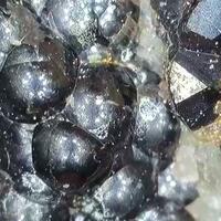 Uraninite