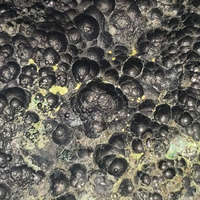 Uraninite With Zippeite