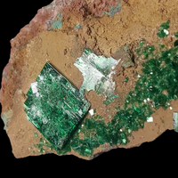 Metatorbernite With Malachite