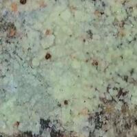 Uranospinite