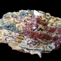 Petrified Wood