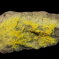 Uranopilite
