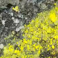 Zippeite On Uraninite