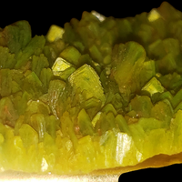 Autunite