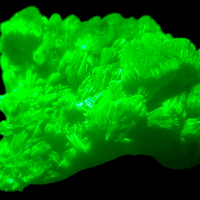 Autunite