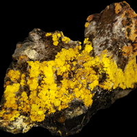 Uranopilite With Zippeite On Uraninite
