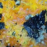 Magnesiopascoite With Fulbrightite On Uraninite Var Pitchblende
