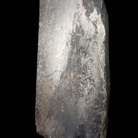 Uraninite Var Pitchblende With Chalcocite