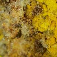 Uraninite