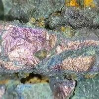 Covellite With Uraninite & Malachite In Petrified Wood
