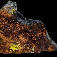 Uraninite In Carbon Wood