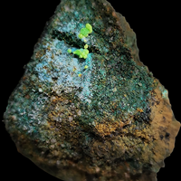 Johannite On Coffinite