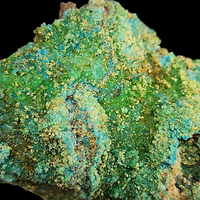Pseudojohannite With Becquerelite & Schoepite