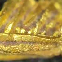 Native Gold
