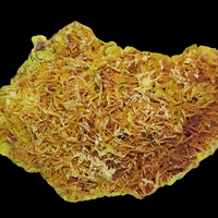 Autunite