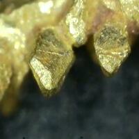 Crystal Gold