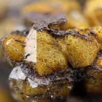 Quartz With Fossil Fungi Inclusions