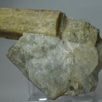 Beryl