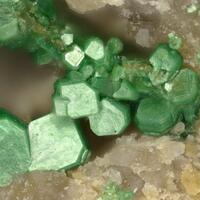 Torbernite
